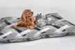 Almohada para perros o gatos - Second Medium
