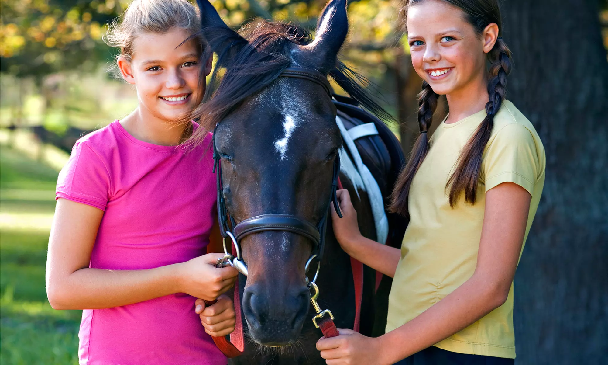 Four Semi-Private One-Hour Horse-Riding Lessons for Two at Horse Savvy in Poway (50% Off)  - Primary Image