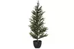 Artificial Potted Christmas Tree 80cm - Second Medium