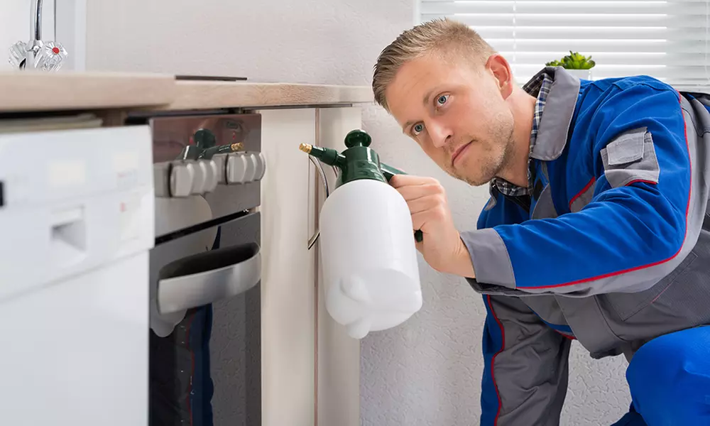 $85 Off $189 Worth of Pest Control Service - General - Primary Image