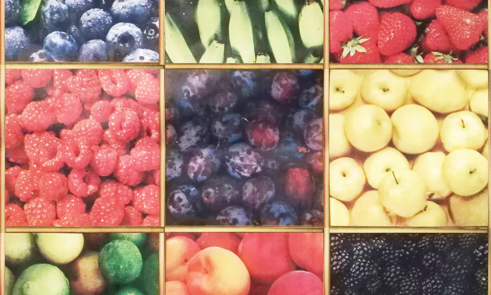 Tovaglia in Tela Cerata PVC Antimacchia per esterno e interno