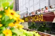 Hop-On Hop-Off Bus Tour of Chicago (Save up to 20%) - Second Medium