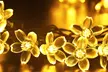 1 ou 2 guirlandes de 30 lampes à fleurs solaires à LED - Image 5