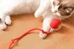 Interactive Electric Cat Toy - Second Medium