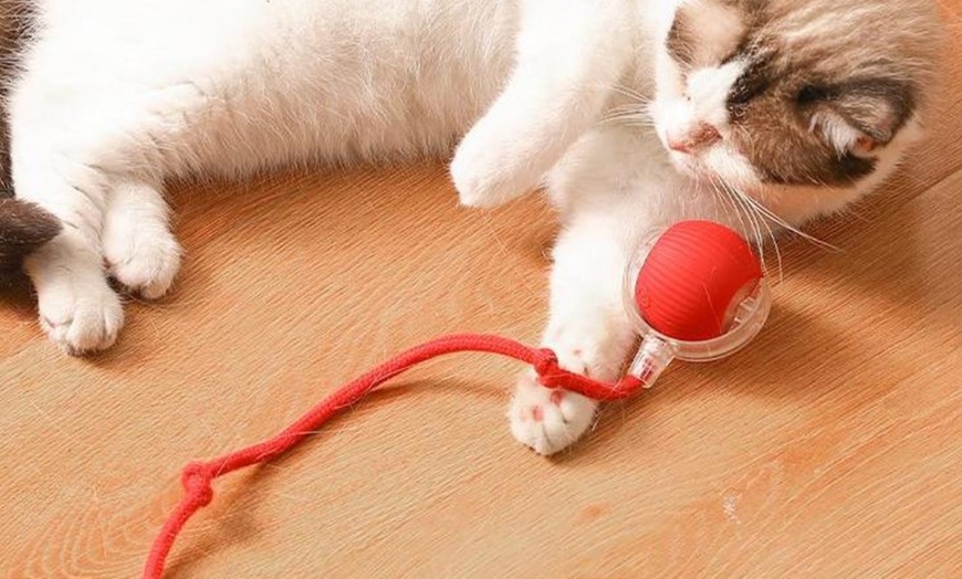 Image 5: Interactive Electric Cat Toy