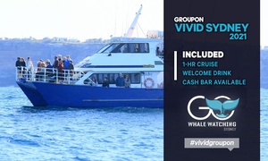 1-Hr Vivid Cruise + Welcome Drink