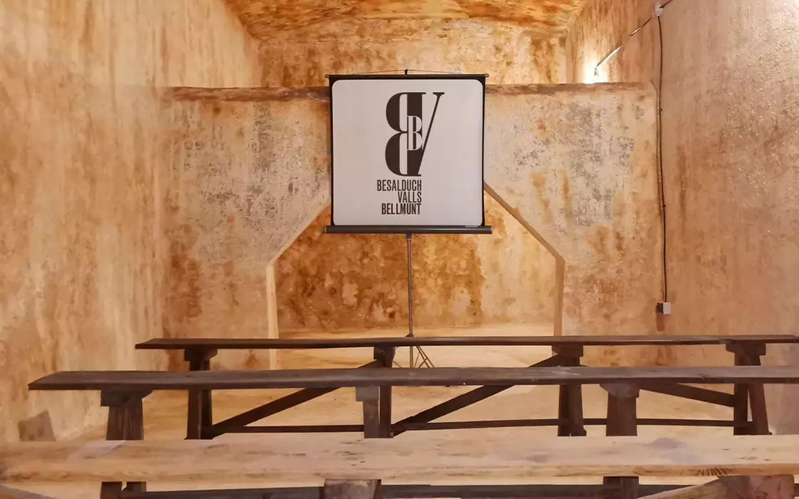 Visita a bodega más cata en Besalduch Valls And Bellmunt