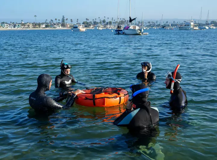 Up to 36% Off on Snorkeling at Just Get Wet