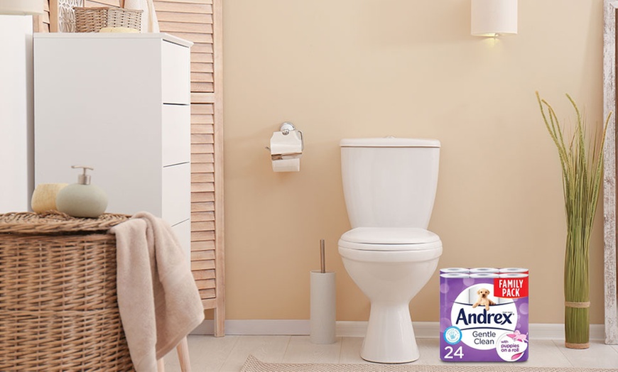 Image 2: Andrex Gentle Clean 24 Toilet Rolls and 8 Packs of Pure Extra Wipes 