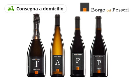 Fino a 12 bottiglie di vino dal Trentino - Borgo dei Posseri (sconto fino a 35%). Consegna a domicilio gratuita