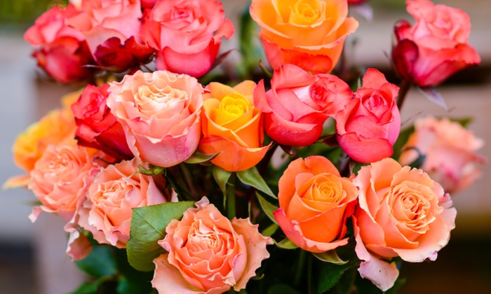 Elevate Every Occasion with Rose Farmers: Luxury Flowers & Bouquets!  (Up To 72% Off)
