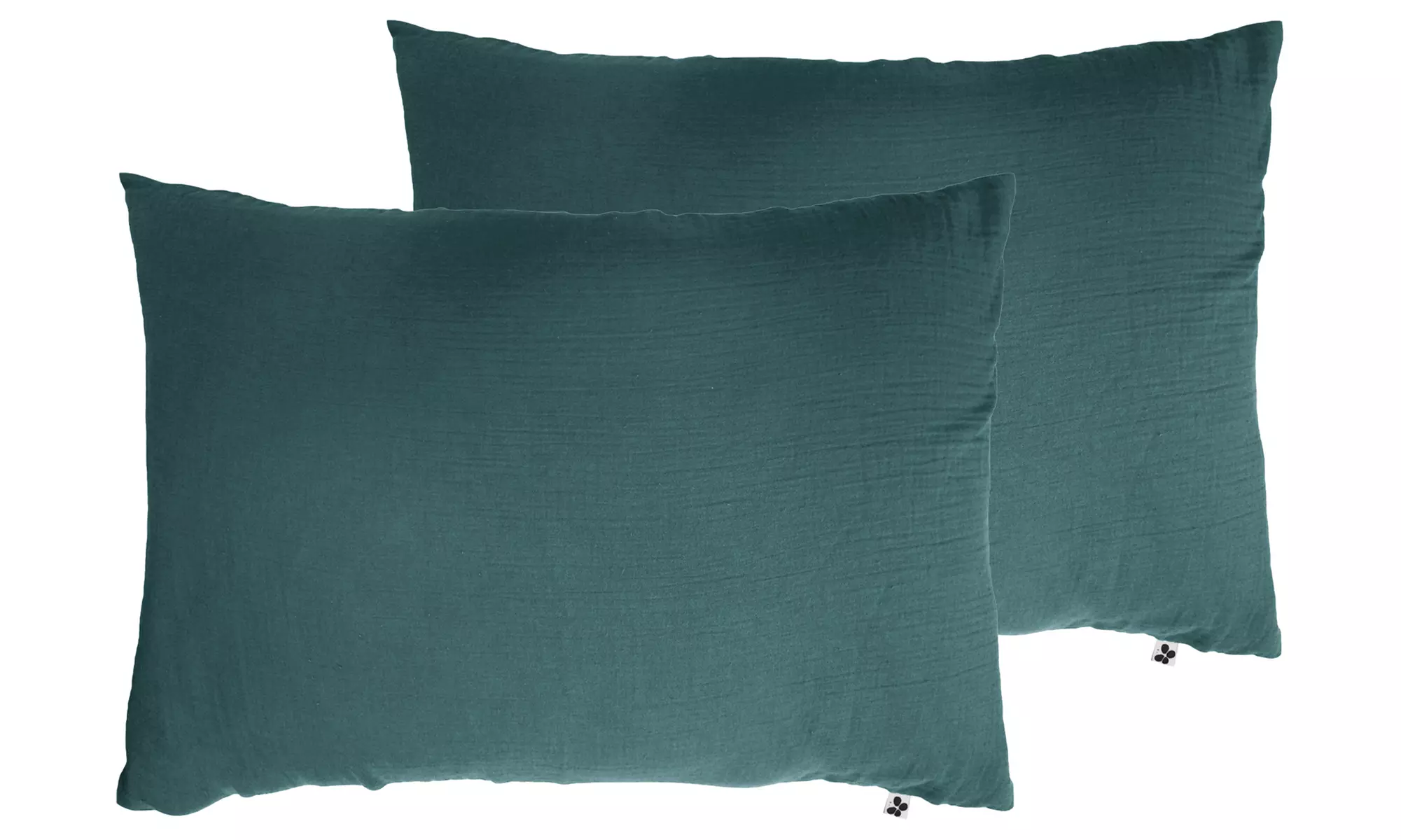 Lot taies d'oreiller gaze de coton