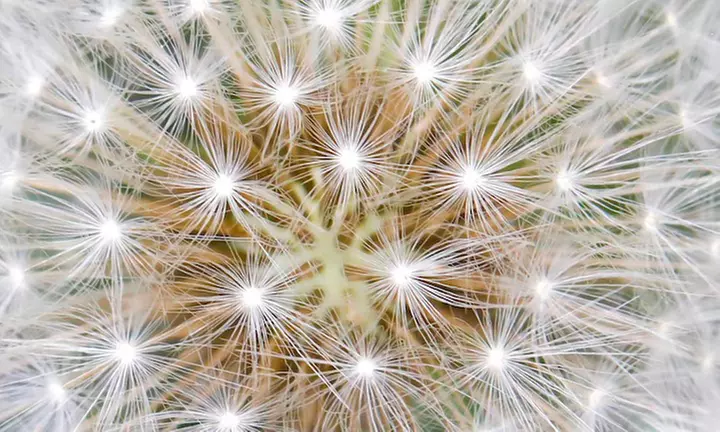 Bis zu 50% Rabatt auf den Fotografie bei Fotografie Klein