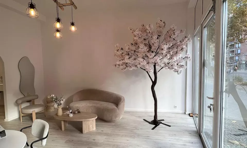 3x Diodenlaser-Haarentfernung an einer kleinen / großen Zone nach Wahl