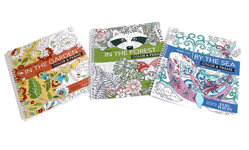 Color And Frame Adult Coloring Books 3 Pack Groupon