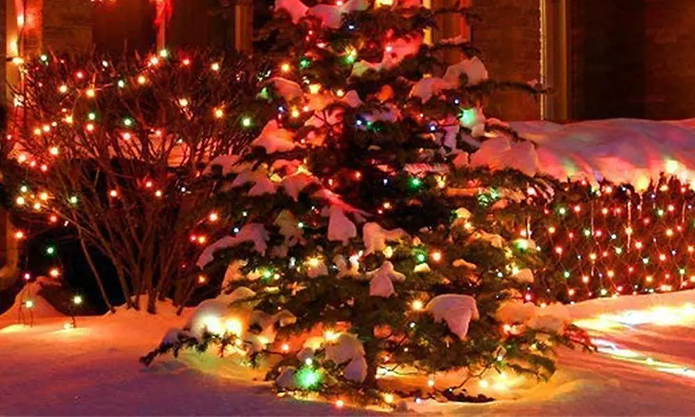 1 of 2 strengen led-verlichting met fairy globe-lampjes