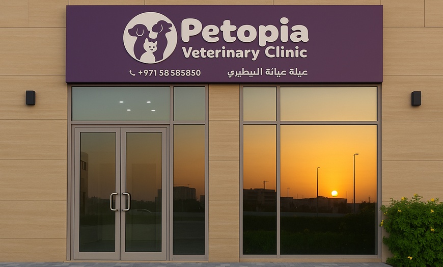 Image 2: Choice of Veterinary Service for Dog or Cat or Tom Cat Castration