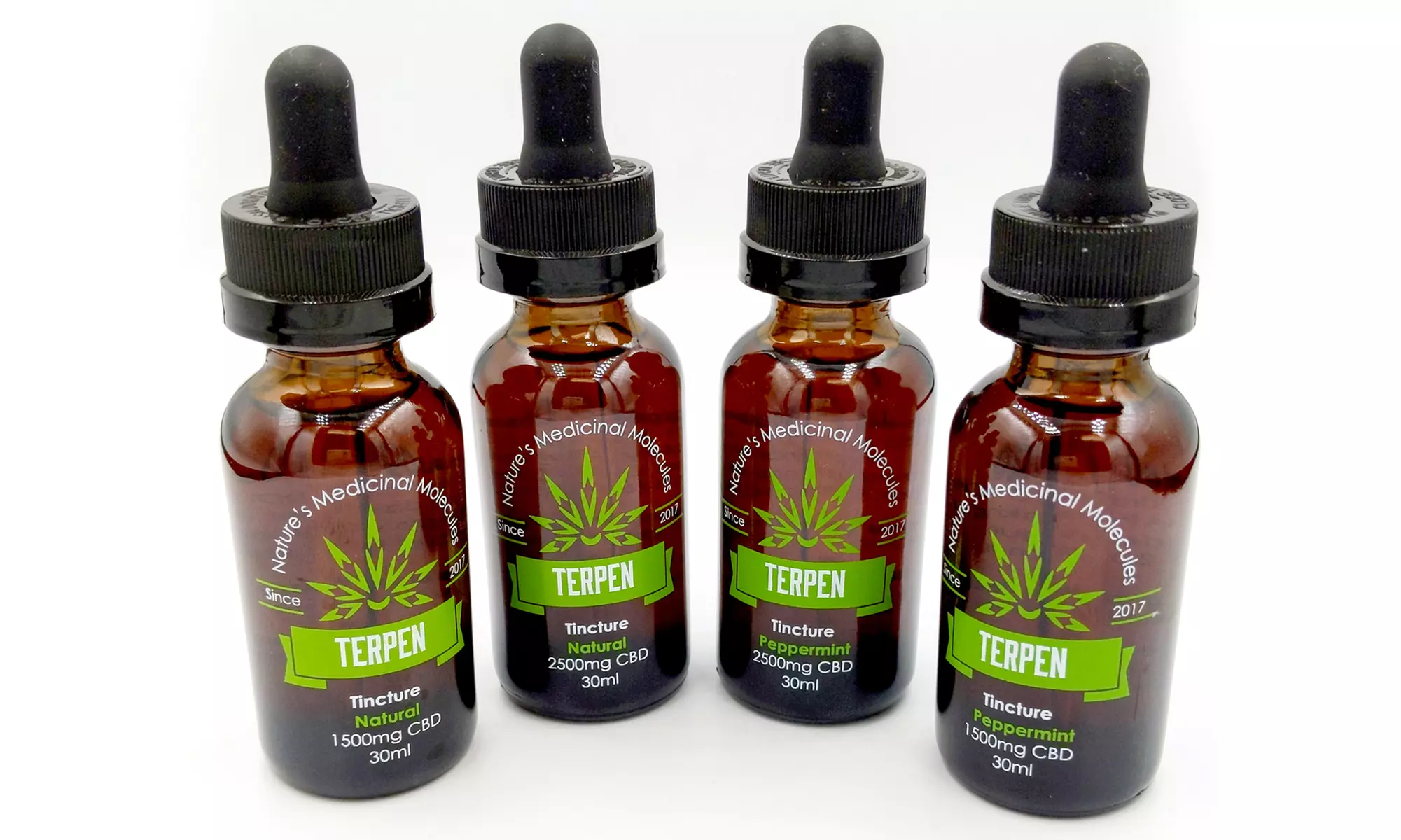 1500mg or 2500mg CBD Natural or Peppermint Flavor Tincture from Terpen (Up to 50% Off) - Primary Image