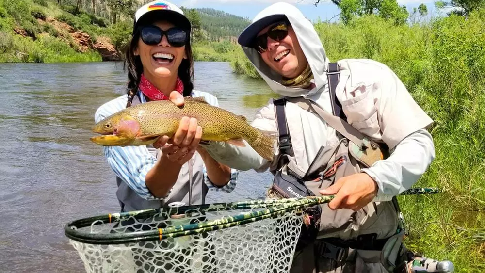 What to expect media