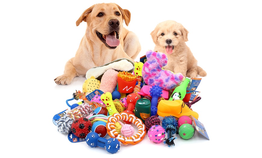 Image 1: 12-Piece Pet Toys Bundle