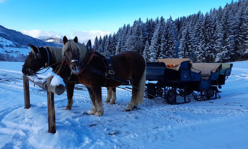 Image 1: 2 Std. winterlich-romantische Pferdekutschen-Fahrt für 2 - 6 Personen