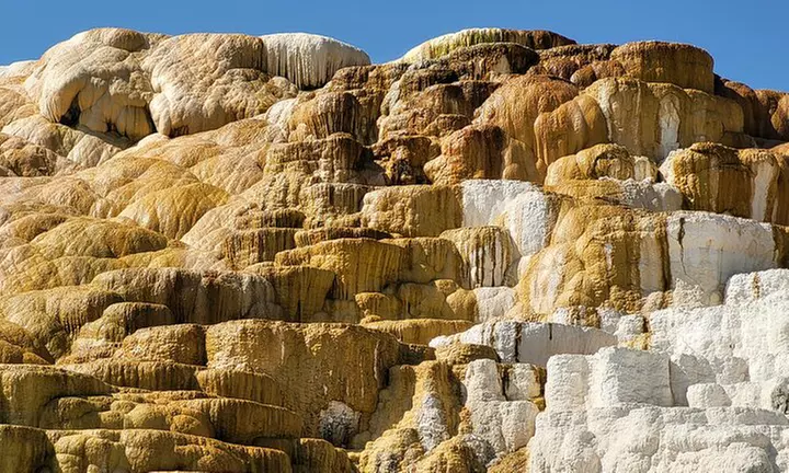 Explore Yellowstone's Full Day Tour with Lunch