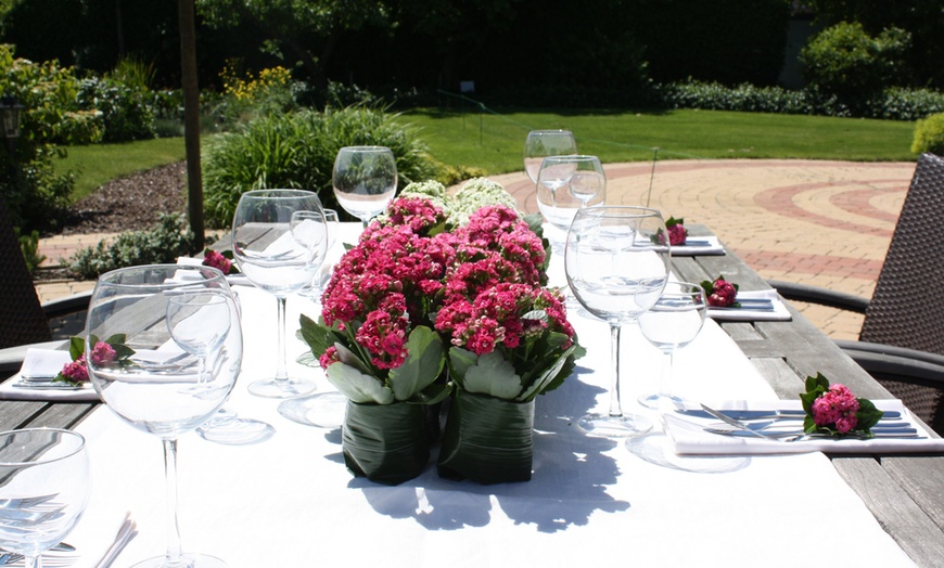 Image 5: Kalanchoë Garden Plants