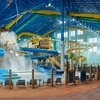 Image 1: Great Wolf Lodge South Florida in Naples, FL