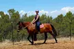Explore the Joy of Horseback Riding for All Ages at Miercoles Moon (Up to 52% Off) - Second Medium