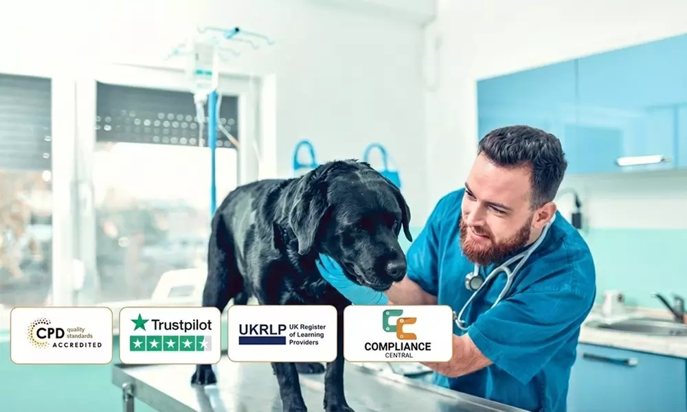 Master with Vet Technician Online Course, Lifetime Access to 2200+ Courses w/ Transcripts & More (Up to 55%Off) - Primary Image