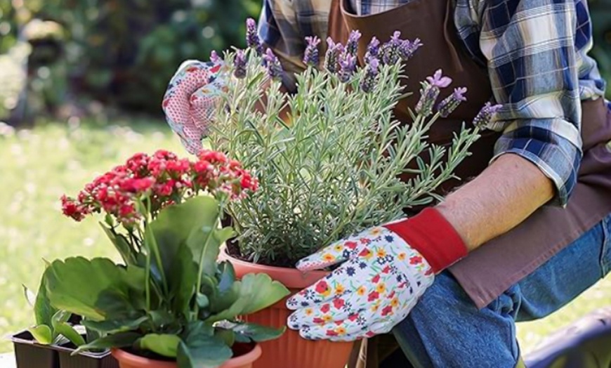 Image 4: Four-Pairs of Floral Gardening Gloves Soft Breathable Yard Work Gloves