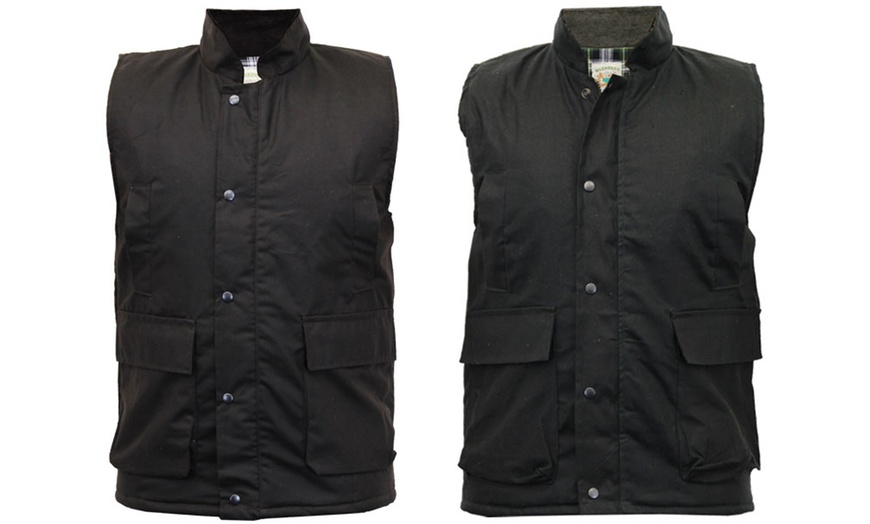 Image 1: Men's Waxberry Padded Gilet