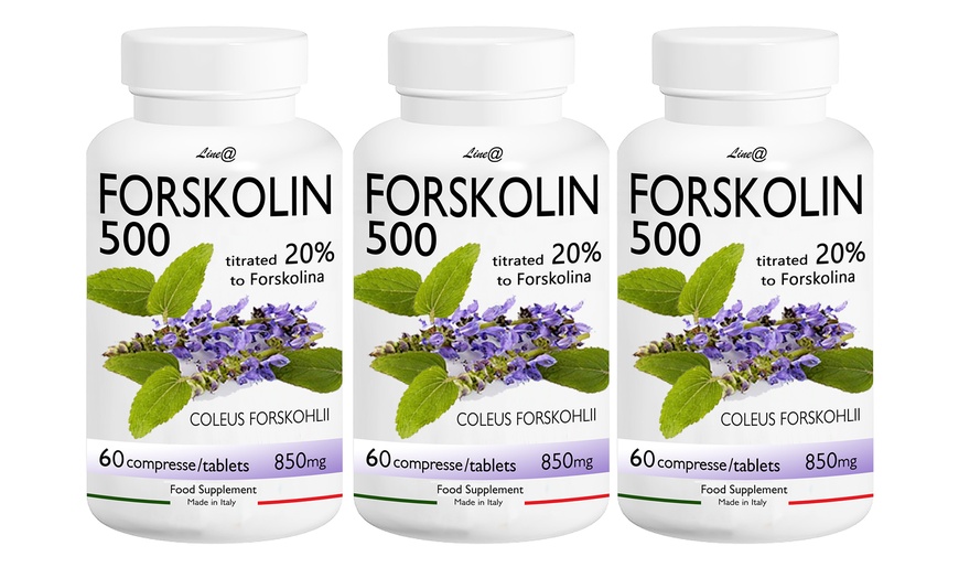 Forskolin 500 Mg Super Max Highest Concentration Of Forskolin On The