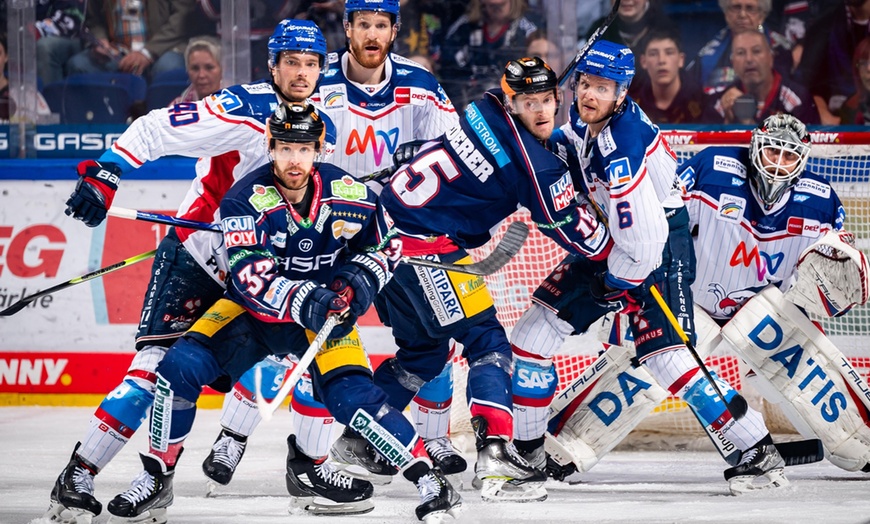 Image 4: Heimspiel der Eisbären Berlin