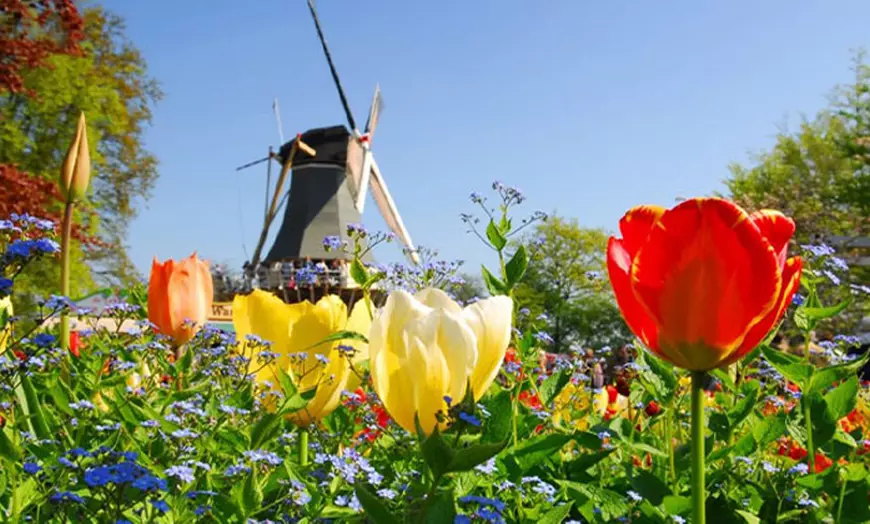 Image 22: Volendam, nabij Amsterdam: tweepersoons- of familiekamer met ontbijt