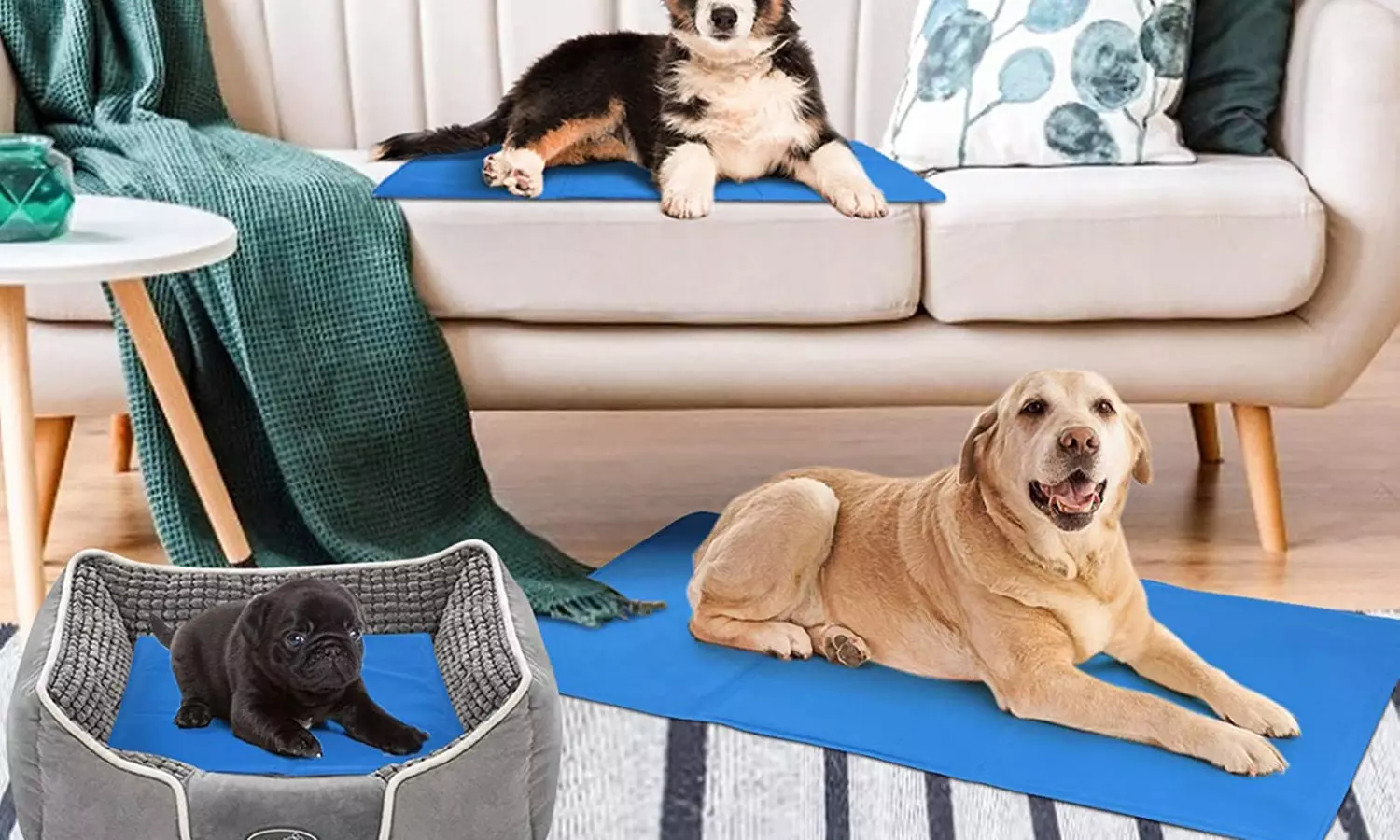 Tapis rafraîchissant pour chiens et chats, taille au choix - Primary Image