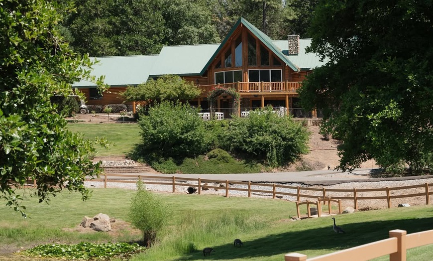 Image 5: Wine Tasting or Tour, Featuring Highland Cattle Encounter