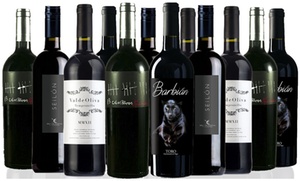 12-Bottle Spanish Red Wine Case