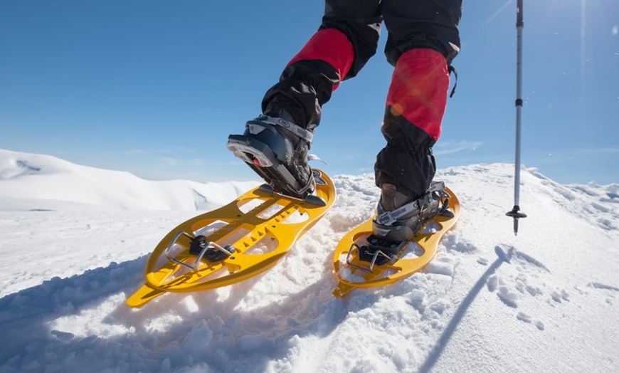 Image 1: Excursión de 4 horas con raquetas de nieve para 2 o 4 personas