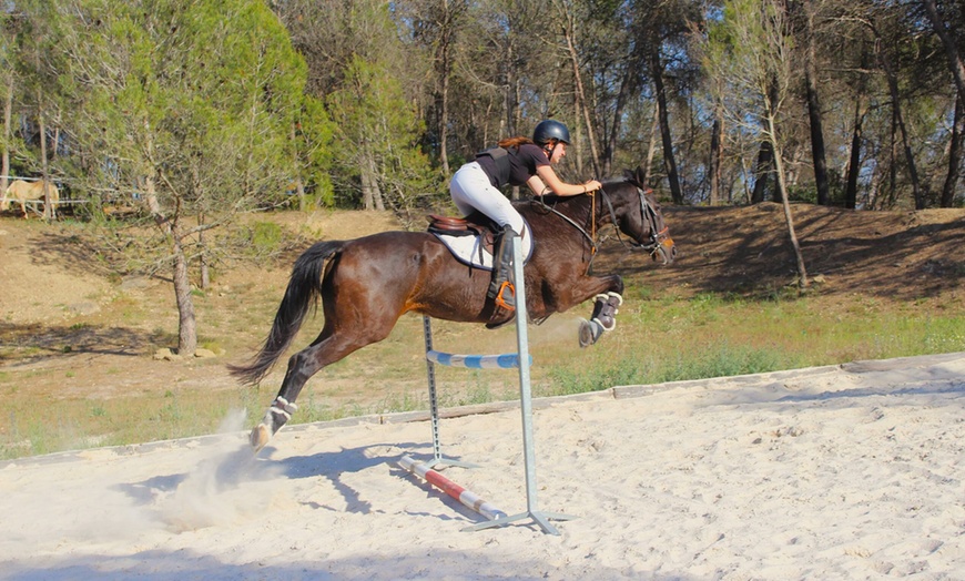 Image 1: ¡Aprende a montar a caballo como un pro en Centre Hípic Montserrat!