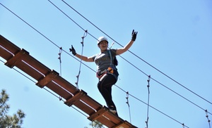 Up to 36% Off Zipline Experience at Durango Adventures