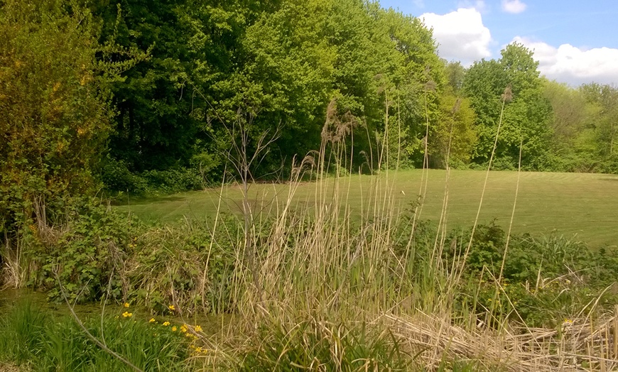 Image 4: 2 Std. Golf-Schnupperkurs inkl. Trainerbetreuung für 2 Pers.