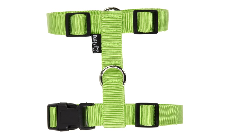 Image 7: Bunty Anti-Pull Harness