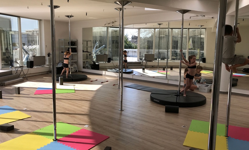 Image 17: Cours de pole dance, hamac, PSM, stretching ou bungeesfit