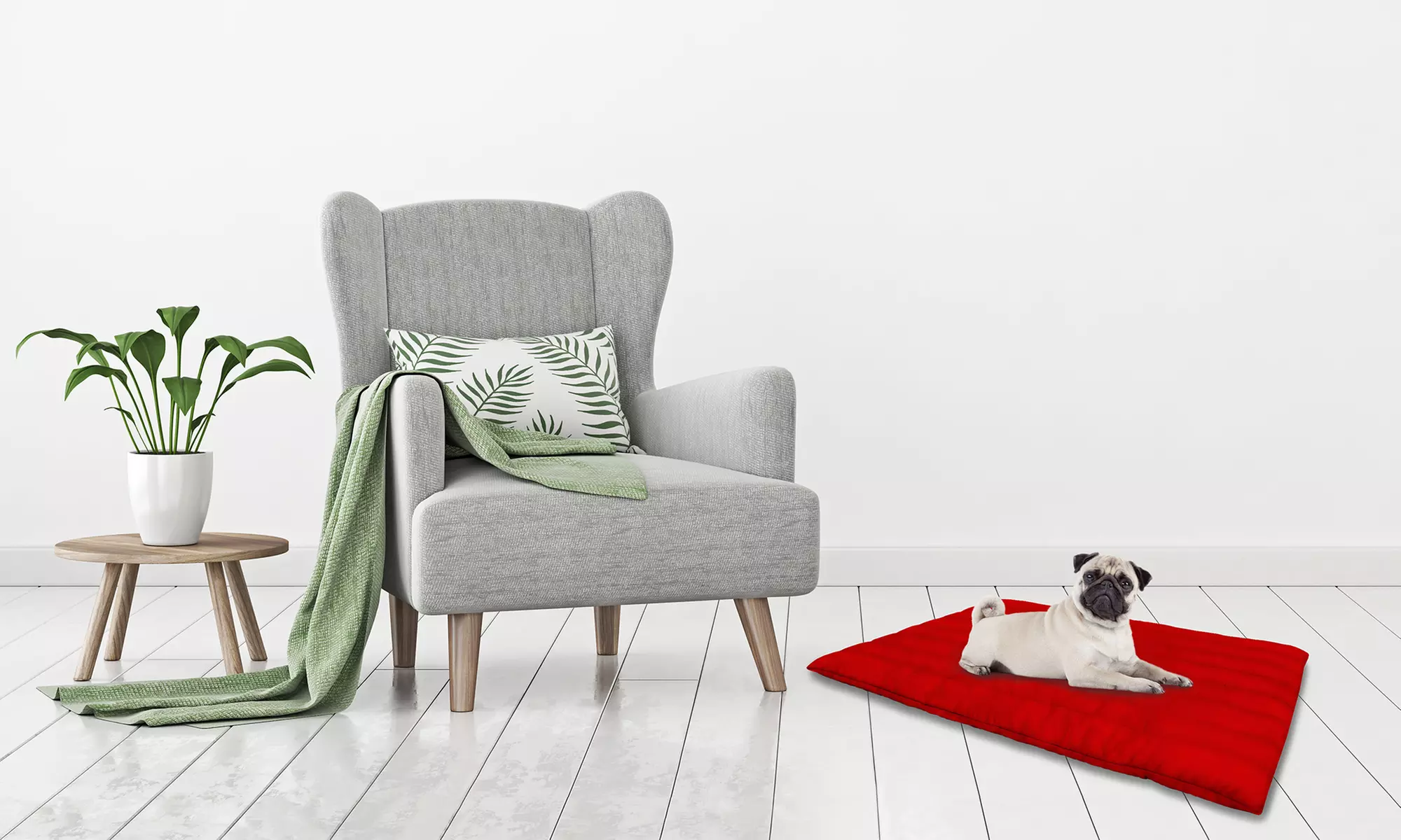 Lit pour chien matelassé et déhoussable Oeko Tex - Primary Image