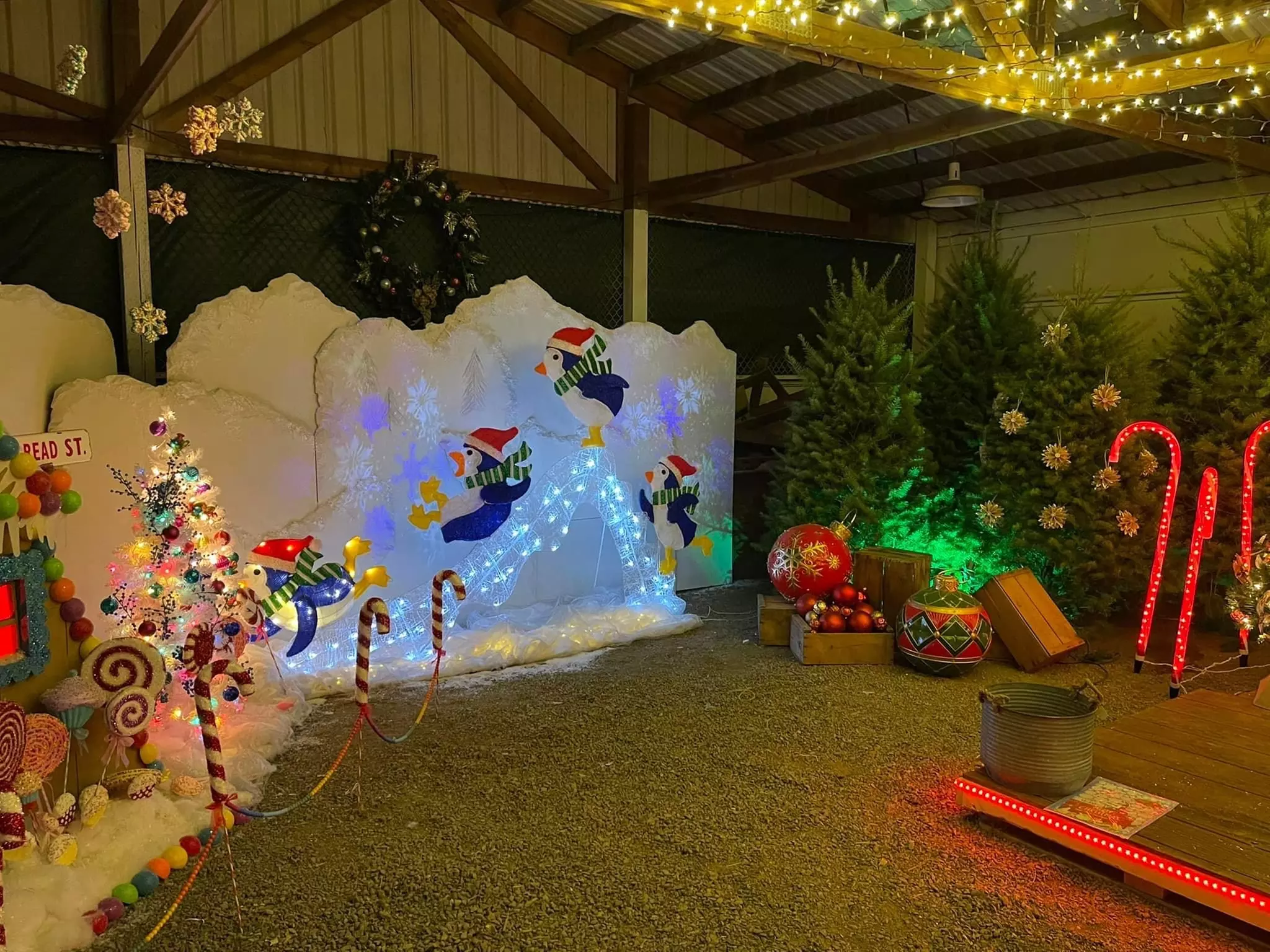 Single-Day General Admission Ticket or Single-Day Family Pack to Clackamas County Winter Fair (Up to 33% Off) - Second Medium