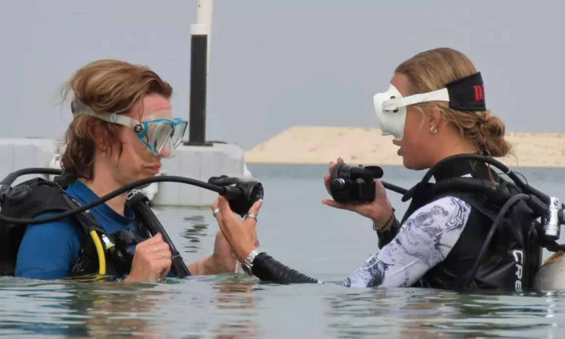 Dive Including Full Equipment at Scuba Hub Diving Club