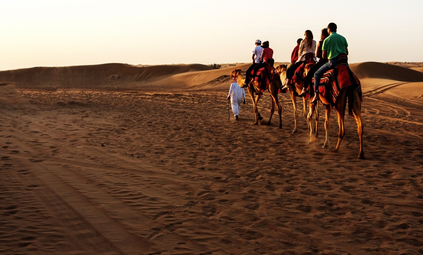 Image 7: Desert Safari with Quad Biking