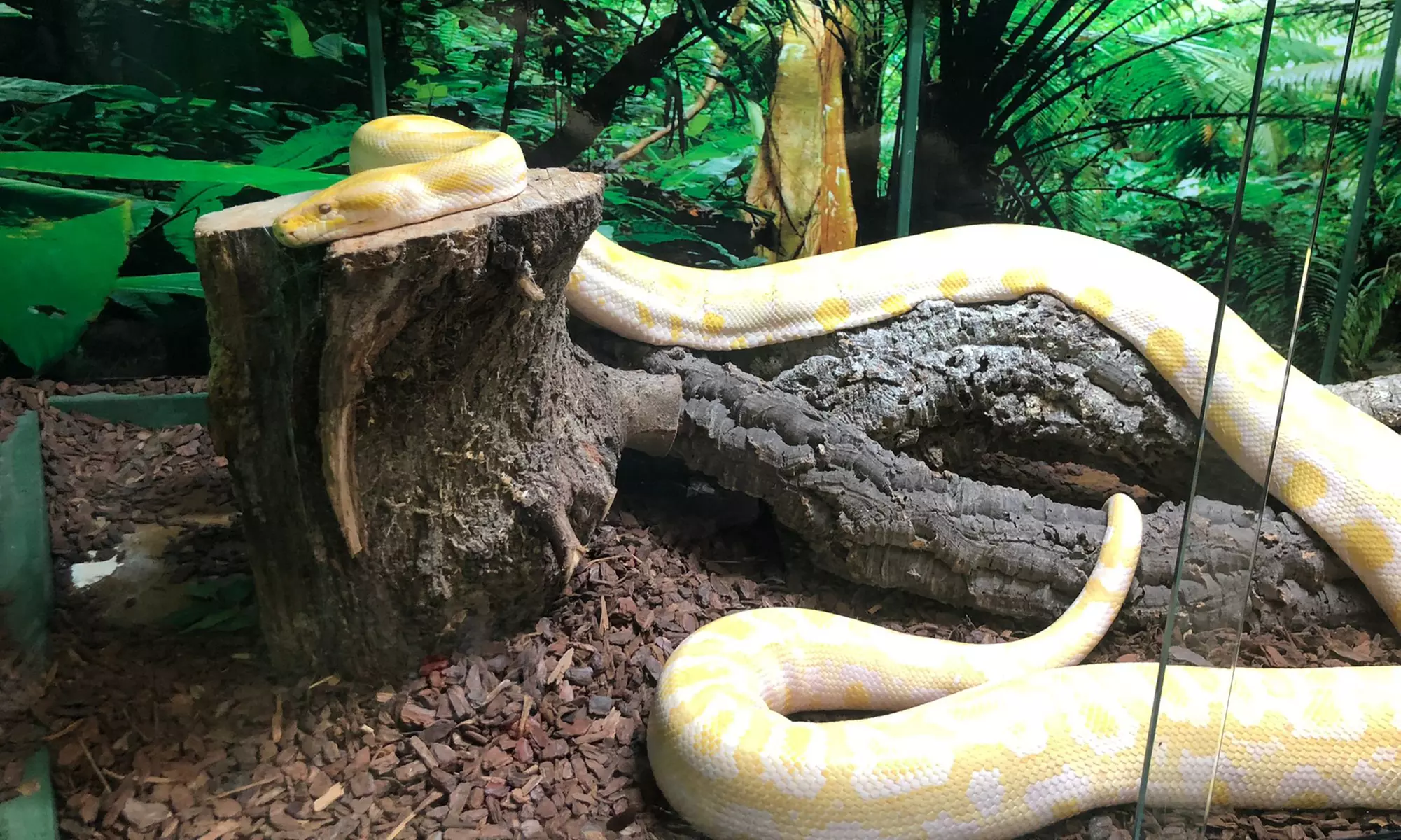 Up to 14% Off on Zoo / Animal Park at Get To Know Animals