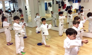 Martial Arts Classes